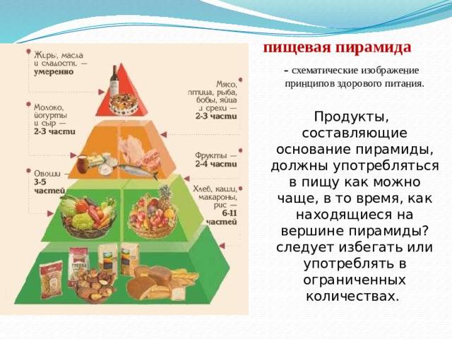 Укажите уровни пищевой пирамиды начиная с продуктов. Пирамида питания. Пирамида здорового питания. Составляющие пирамиды питания. Уровни пищевой пирамиды.