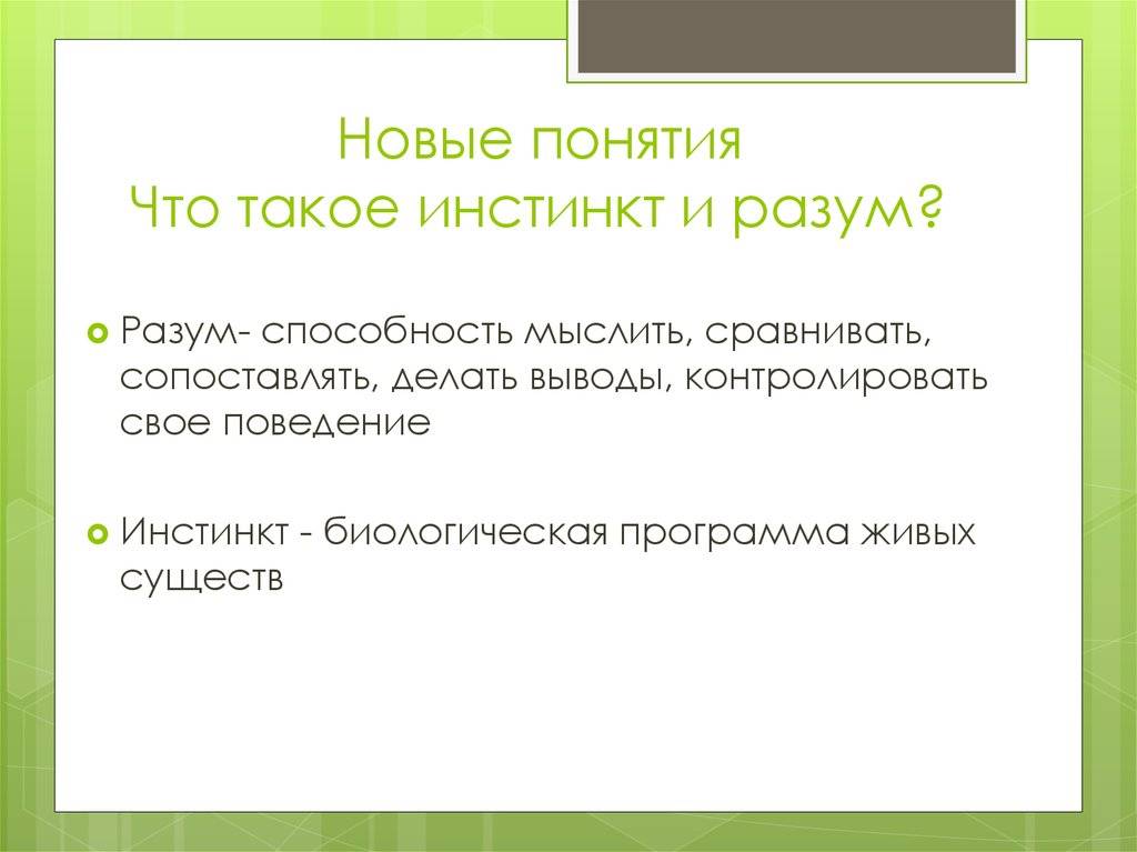 Есть ли у человека инстинкты. что у человека вместо инстинктов