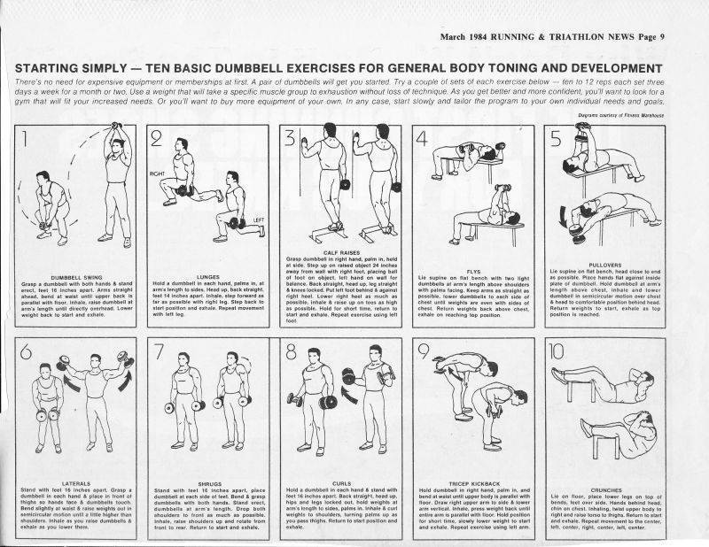 Упражнения для женщин с гантелями - самые эффективные занятия и программы тренировок