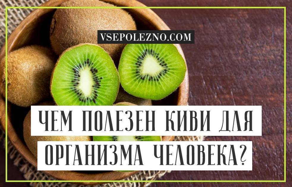 Киви при похудении - диета и полезные свойства фрукта