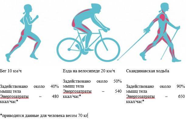 Сколько калорий сжигается во время езды на велосипеде