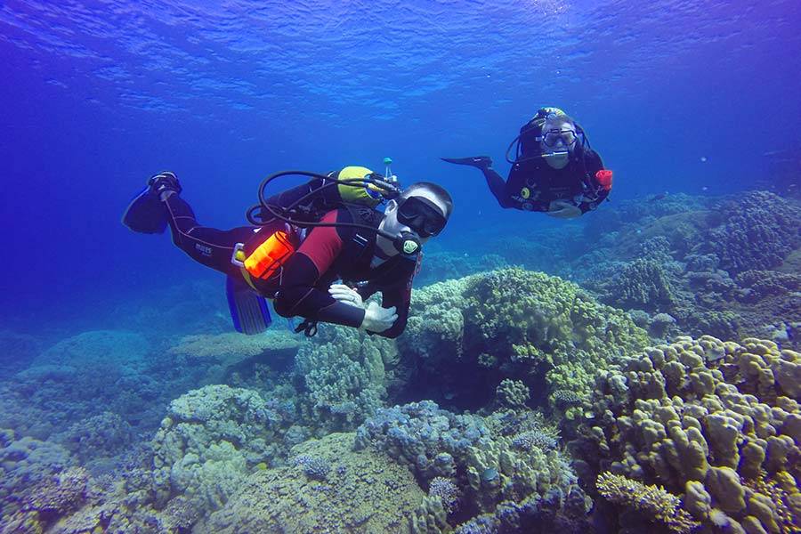 Подводный дайвинг: виды, особенности, меры безопасности