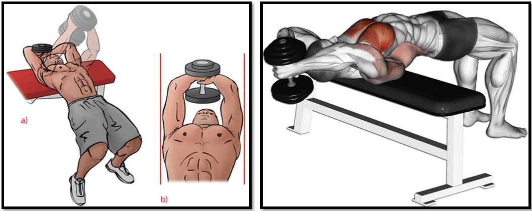 Упражнения с гантелями для грудных мышц в домашних условиях и в зале