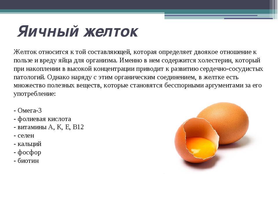 Куриные яйца : польза и вред для здоровья организма употребления сырых, варенных, всмятку, жареных, желка, натощак, для мужчин и женщин