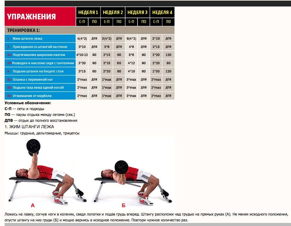 Жим лёжа: программы тренировок для увеличения силы | rulebody.ru — правила тела