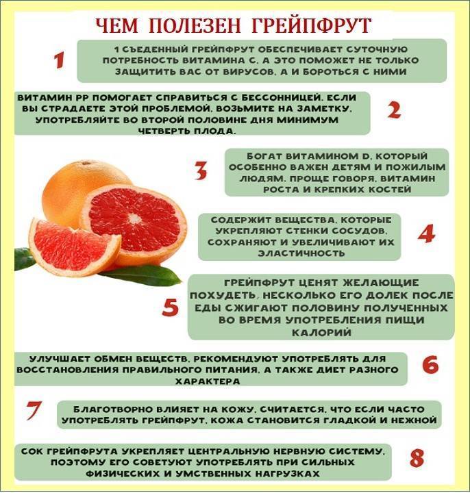 Как действует грейпфрут, сжигает ли жир и как его лучше есть для похудения и с пользой для организма