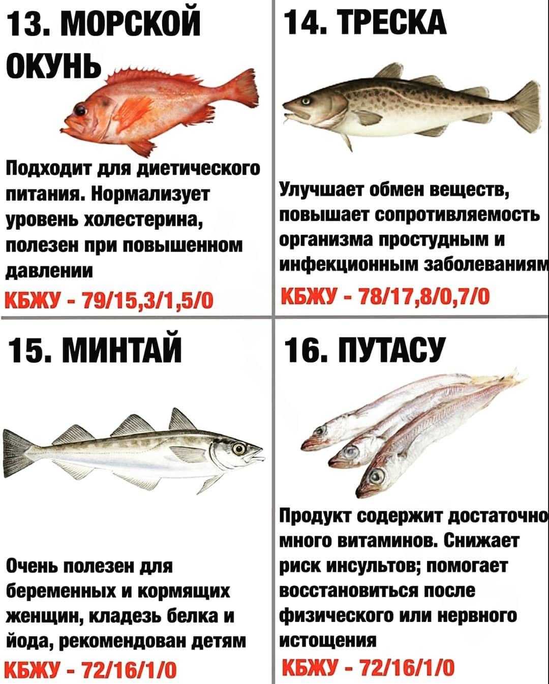 Самая вкусная ???? рыба в мире 2022 года по рейтингу топ-10