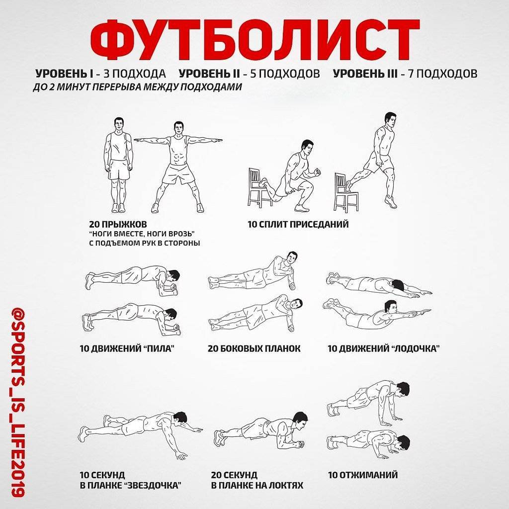Упражнения на все тело для тренировки в домашних условиях без тренажеров