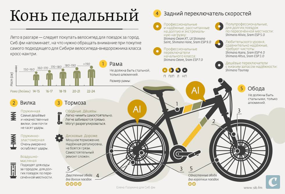 Как выбрать правильный велосипед?