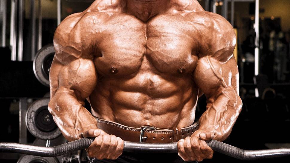 Топ 10 причин, почему не растут мышцы после тренировок