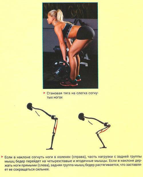 Становая тяга на прямых ногах, особенности, какие мышцы работают