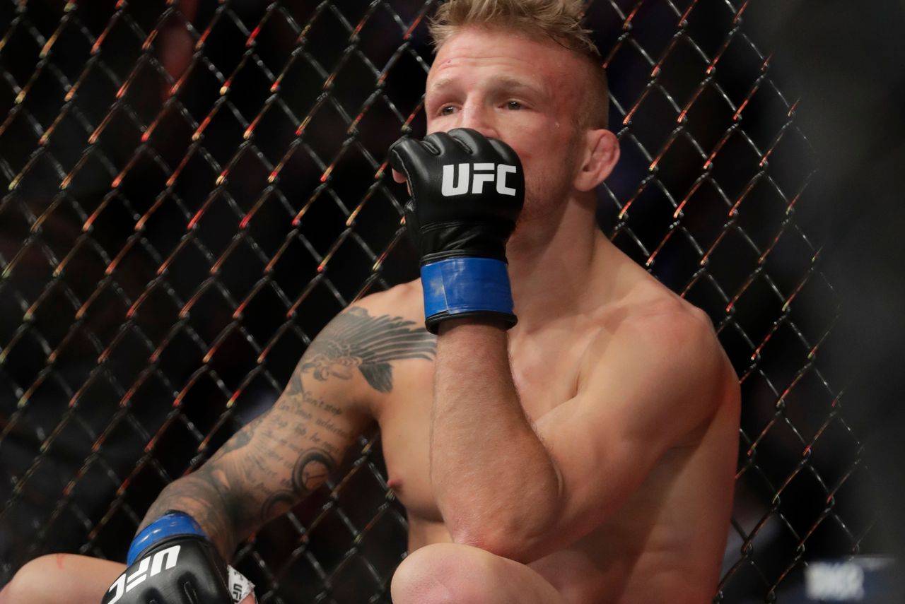 Ufc 4: лучшие комбинации ударов - guideer.ru