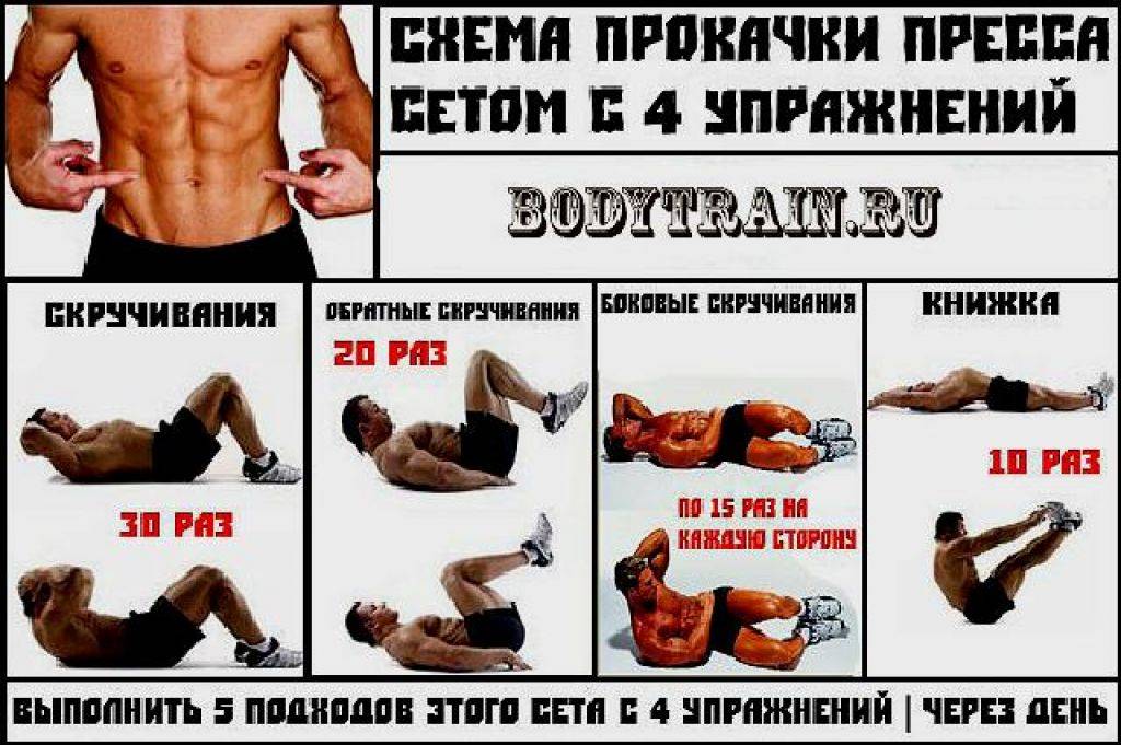 Программы и упражнения для тренировки пресса | rulebody.ru — правила тела