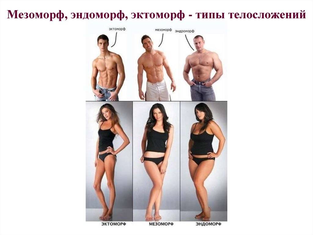 Типы телосложения мужчин — как узнать и определить свой тип телосложения