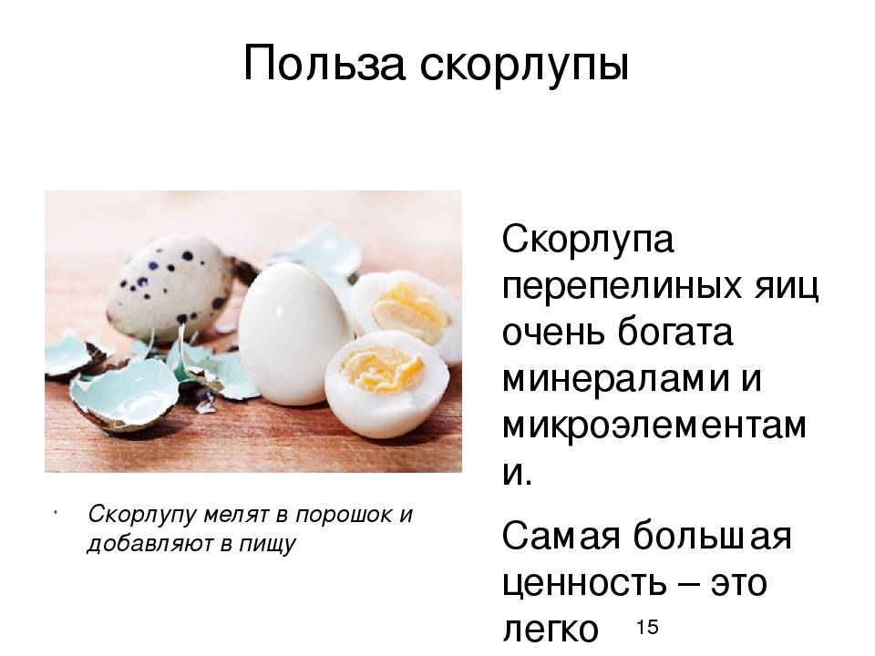 Перепелиные яйца — польза и вред для организма человека, как принимать