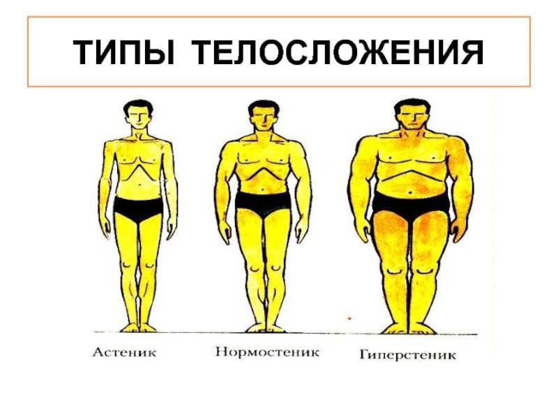 Астенический тип телосложения у мужчин и женщин