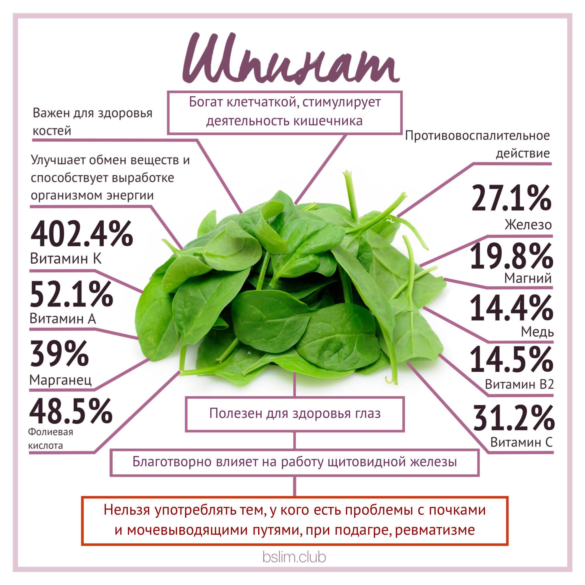Шпинат: 29 полезных свойств, польза и вред шпината для здоровья женщины и мужчины