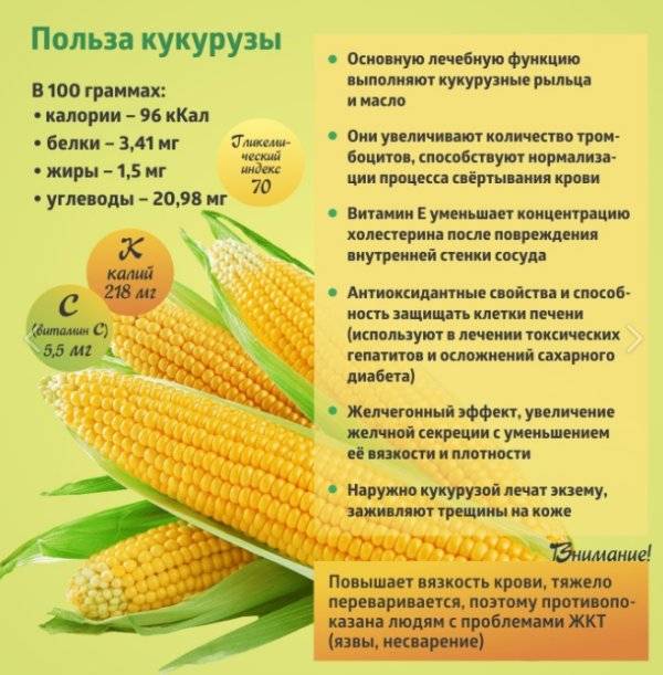 Кукуруза — калорийность (сколько калорий в 100 граммах)