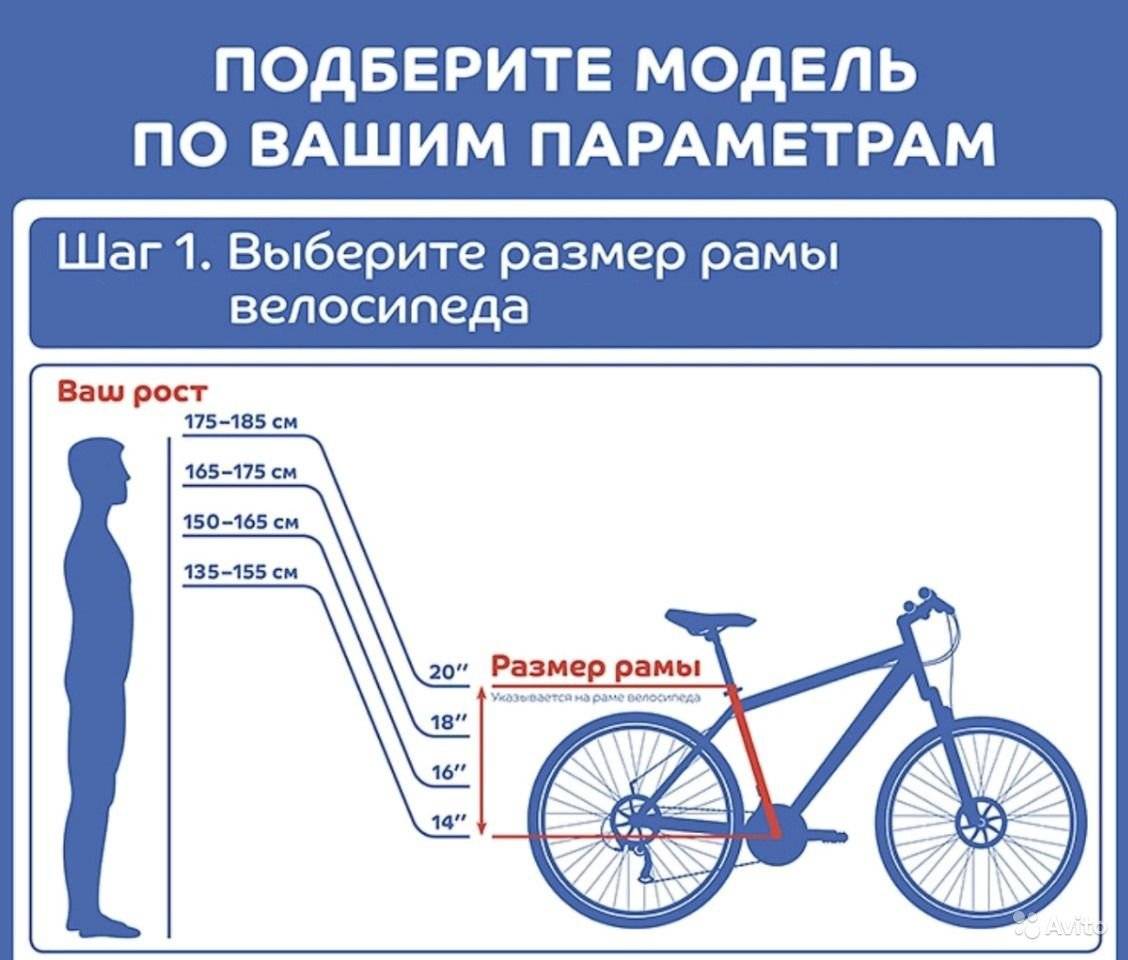 Какие бывают велосипеды: типы, виды, назначения