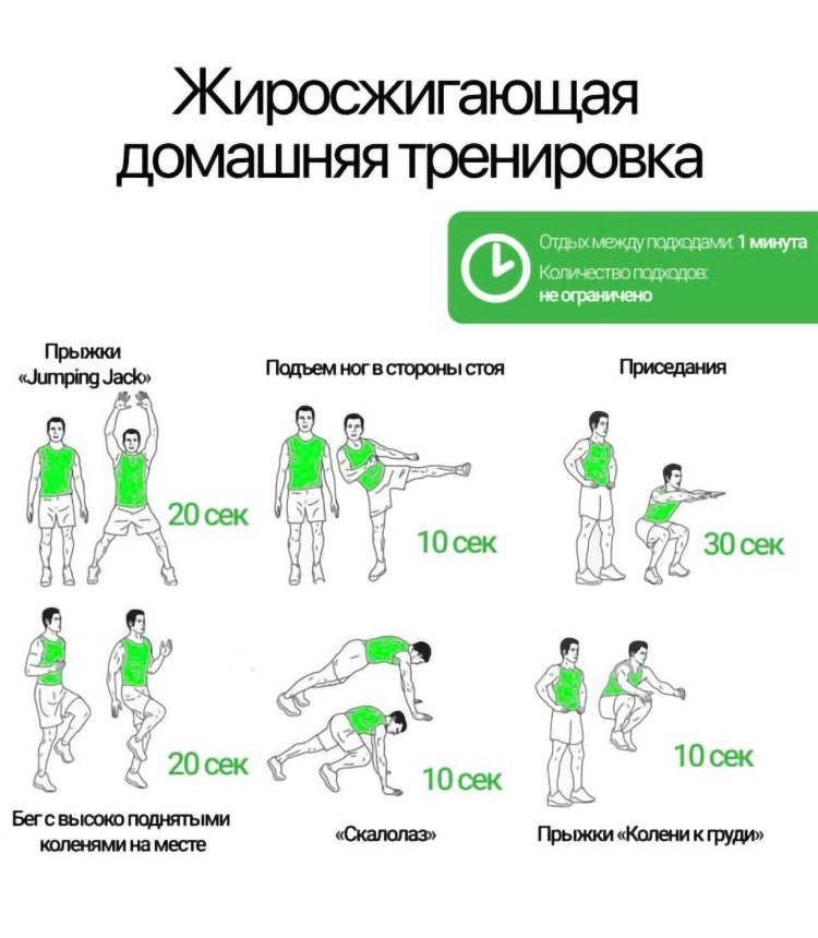 Кардио тренировка: дома и в зале для сжигания жира