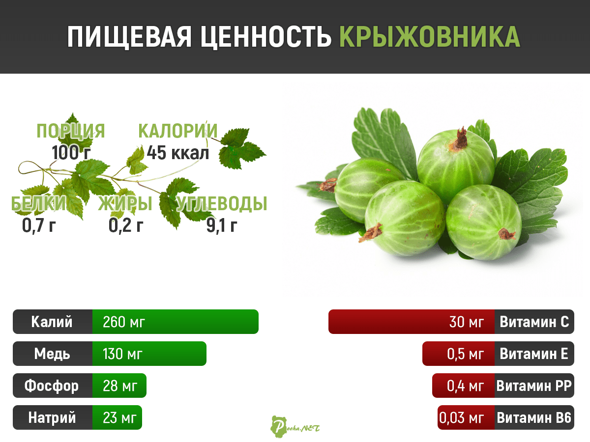 Витамины в крыжовнике