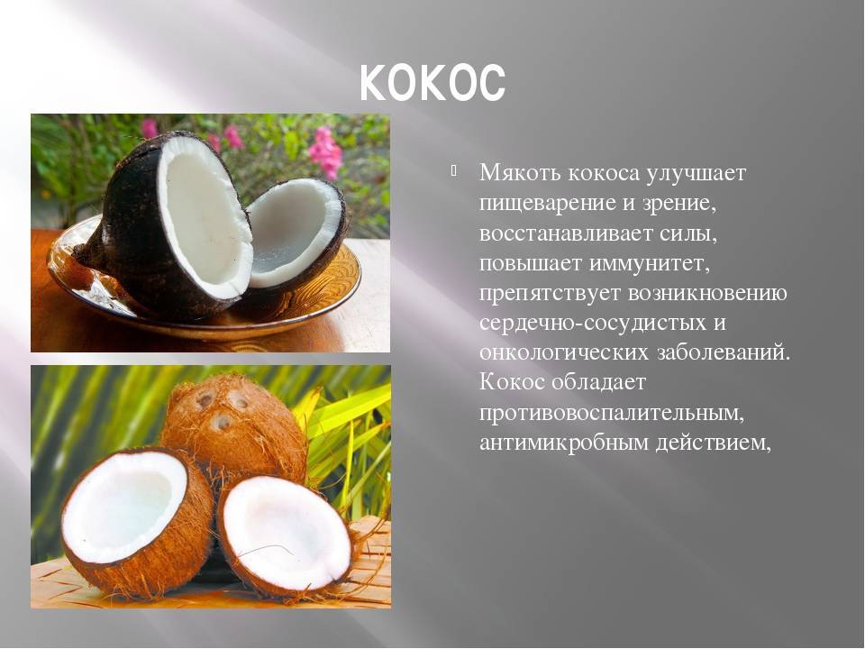 Кокосовый орех или кокос: полезен или вреден? калорийность, польза и вред кокоса, и его влияние на здоровье детей и взрослых