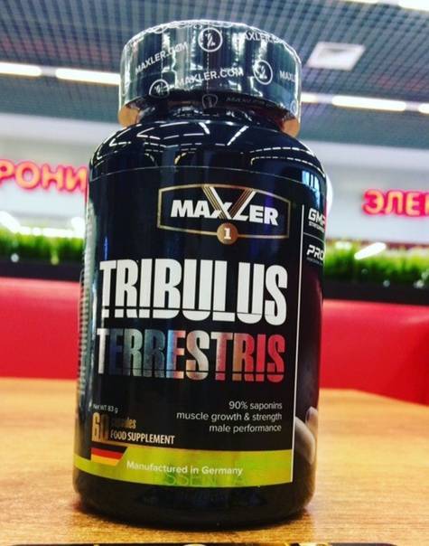 Tribulus terrestris от maxler
