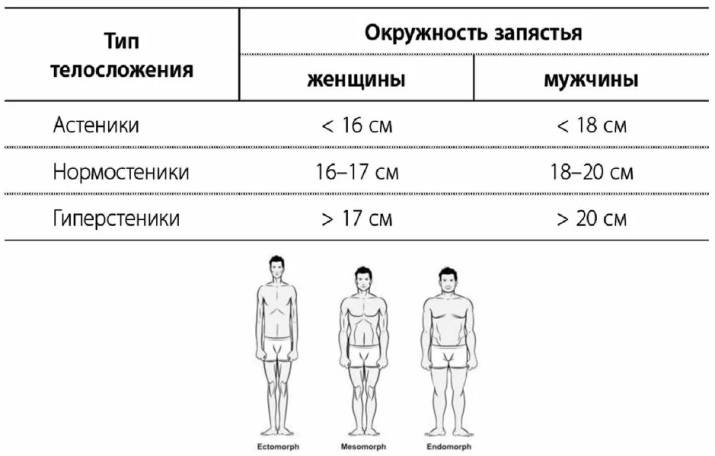 Типы телосложения у женщин- определение фигуры девушки по запястью
