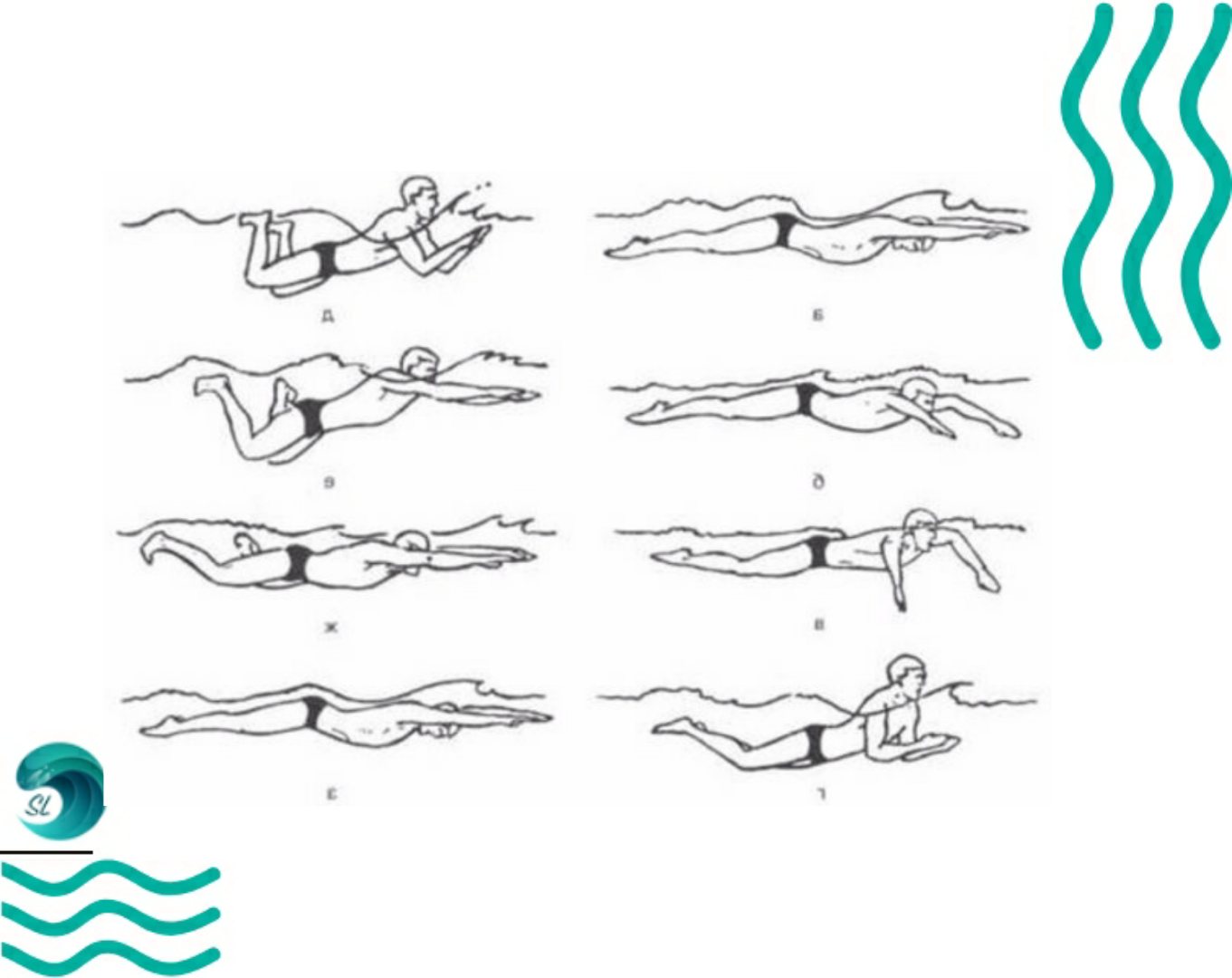 Как научиться плавать под. Брасс стиль плавания брасс. Схема плавания брассом. Стиль плавания брасс техника. Кроль брасс Баттерфляй.