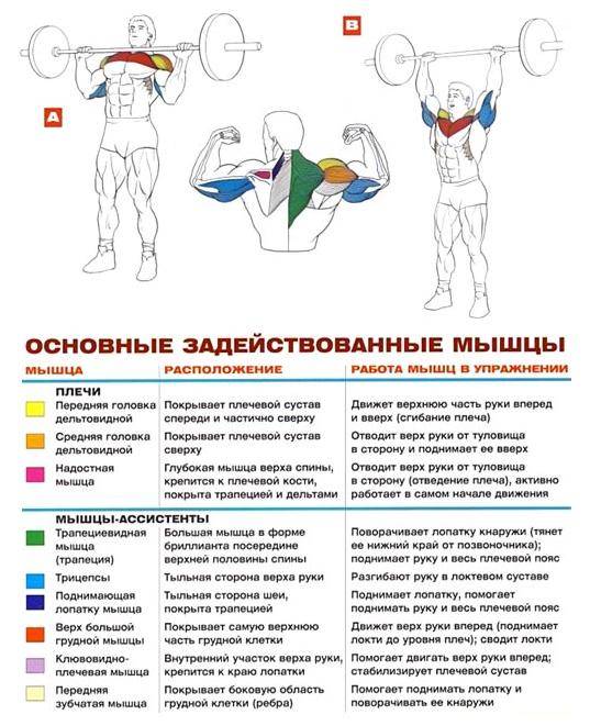 Как жать с груди: 13 шагов (с иллюстрациями) - wikihow