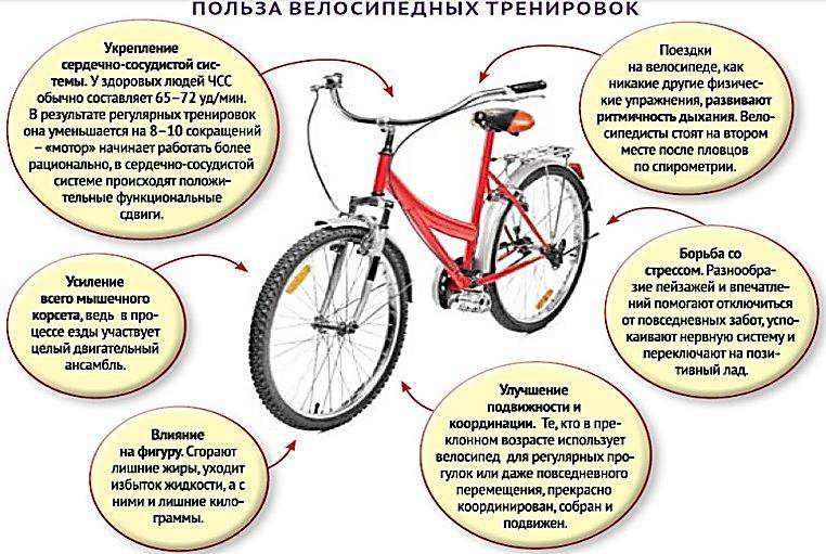 Велосипед в нашей жизни проект