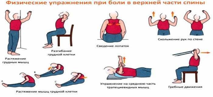 Упражнения для укрепления мышц спины женщинам и мужчинам в домашних условиях -  против боли в пояснице