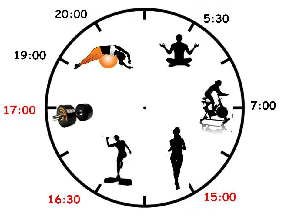Лучшее время для тренировок: когда тренироваться эффективнее утром или вечером