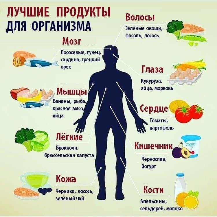 30 самых полезных продуктов для тела картинка