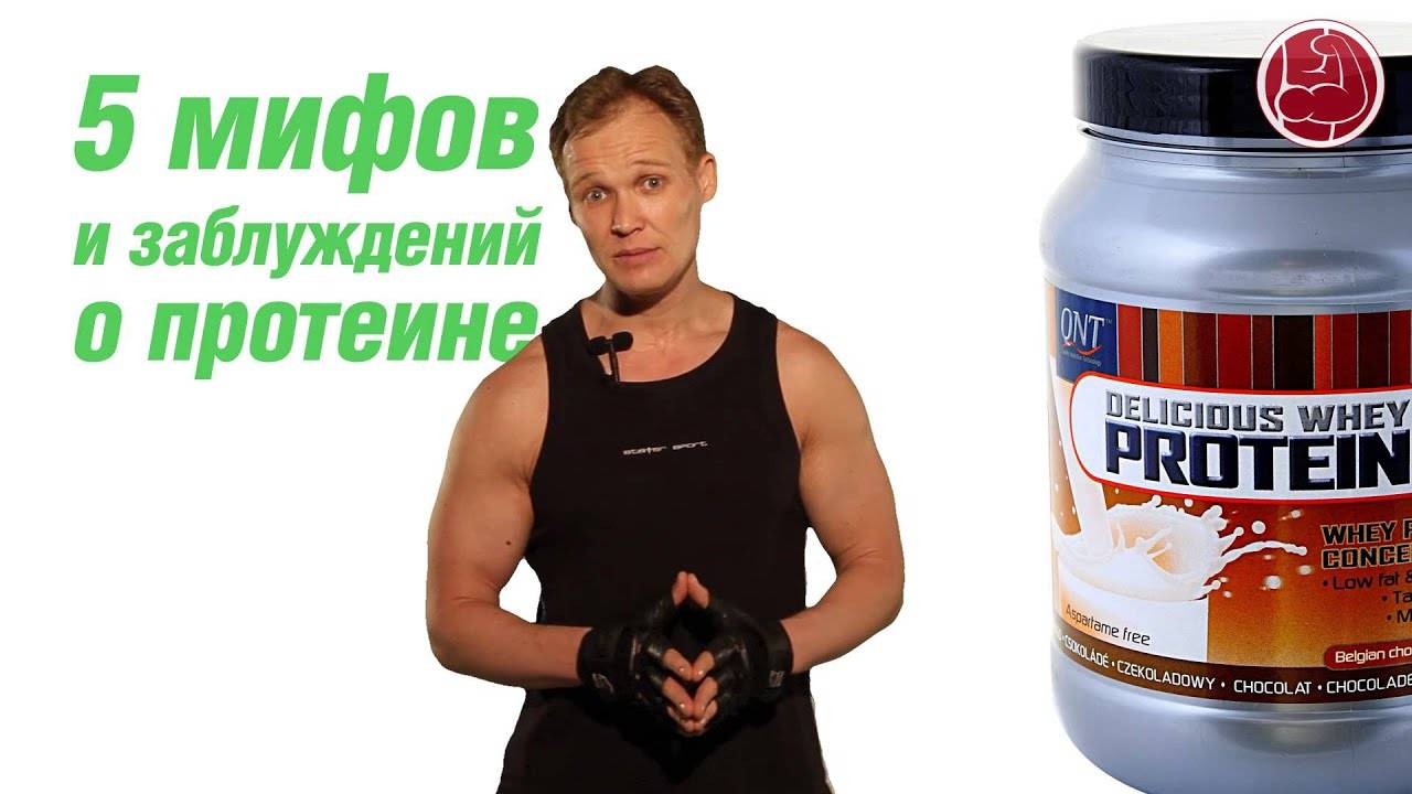 Какой протеин лучше? руководство для начинающих - promusculus.ru
какой протеин лучше? руководство для начинающих - promusculus.ru