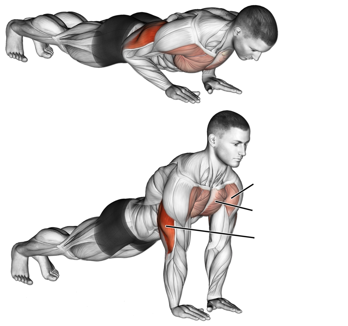 Как накачать мышцы в домашних условиях: упражнения и тренировка