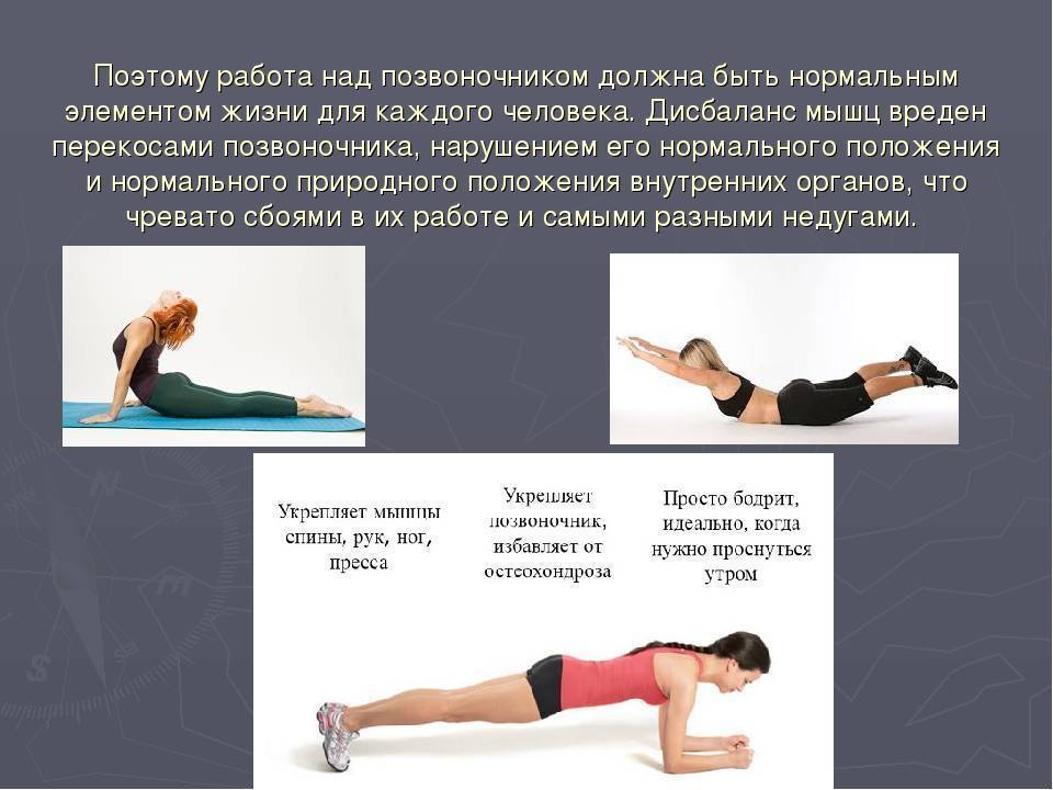 Пациентам: упражнения для укрепления мышц спины в домашних условиях