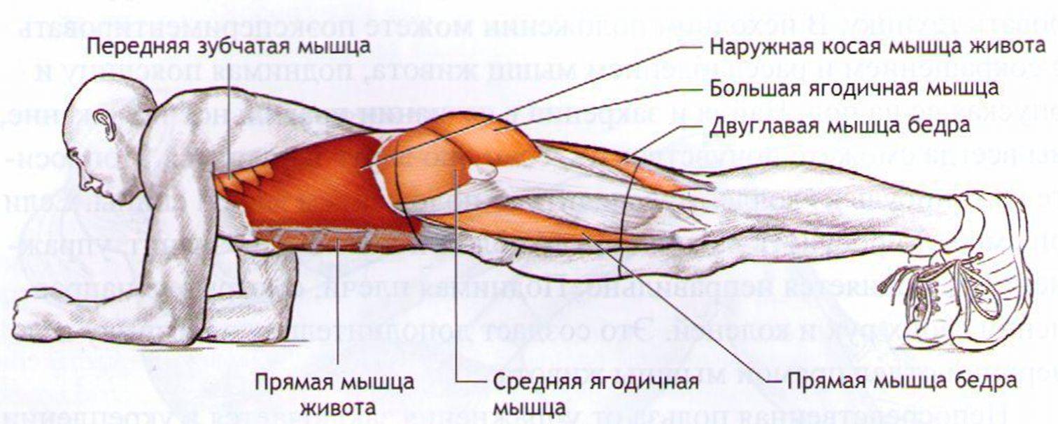 Упражнение «ножницы» для укрепления нижней части тела и похудения
