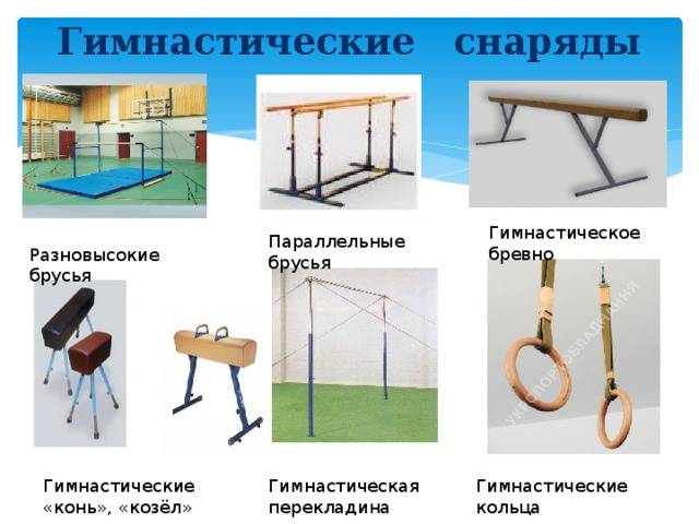 Спортивные снаряды картинки