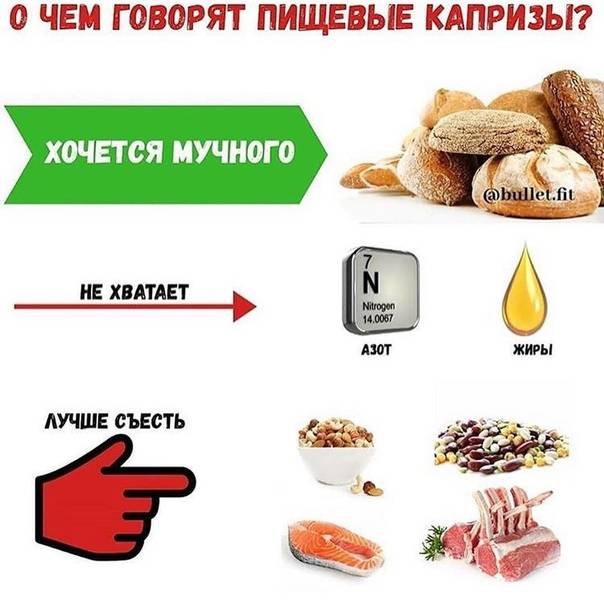 Тяга к шоколаду или мясному: о чем сигнализирует наш организм :: инфониак