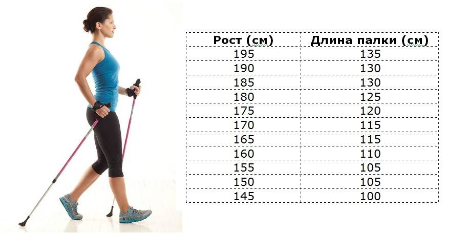 Скандинавские палки для ходьбы: как выбрать - таблица высоты и размеров