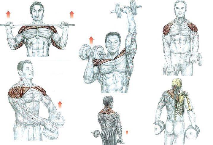 Упражнения на верхнюю часть грудных мышц в домашних условиях