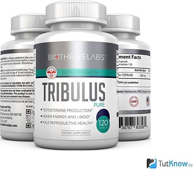 Трибулус: что это такое, как принимать для повышения тестостерона и потенции