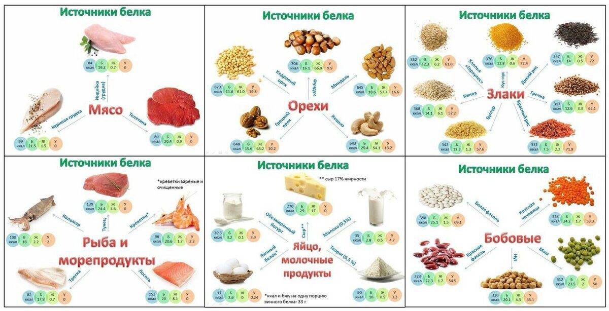 Продукты содержащие белок: список лучших источников белка для вегетарианцев и мясоедов