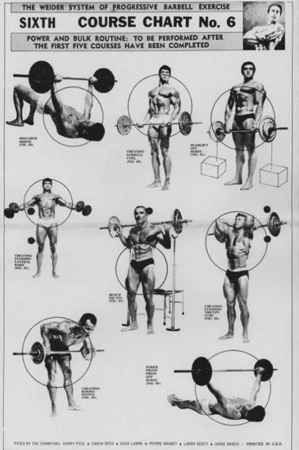 Тренировочные принципы джо вейдера, система строительства тела