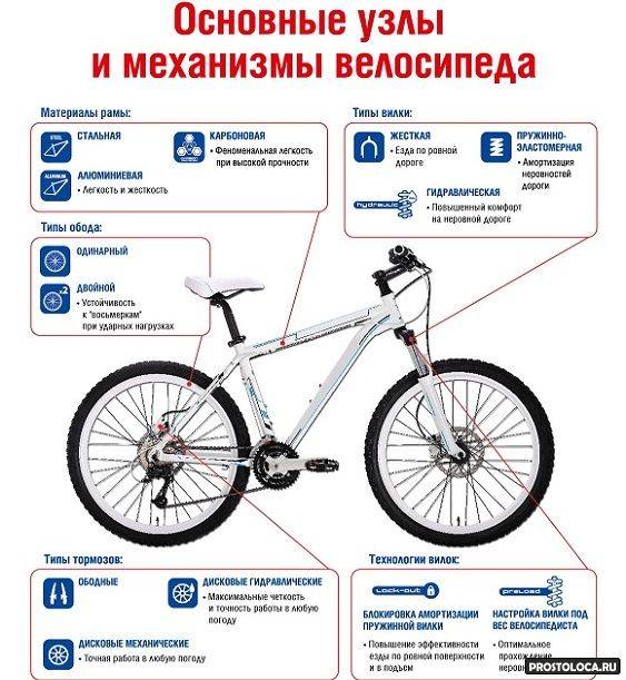 Какой велосипед выбрать? советы по выбору велосипеда - велосипедный сайт. сайт про велосипеды
