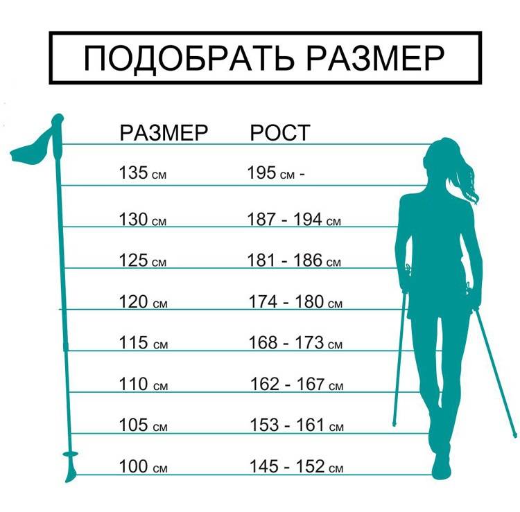 Палки для скандинавской ходьбы: как правильно выбрать, какие, размер, высота, отличие
