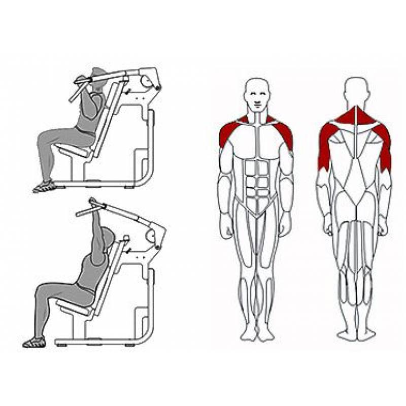 Жим в тренажере на плечи: техника выполнения, какие мышцы работают