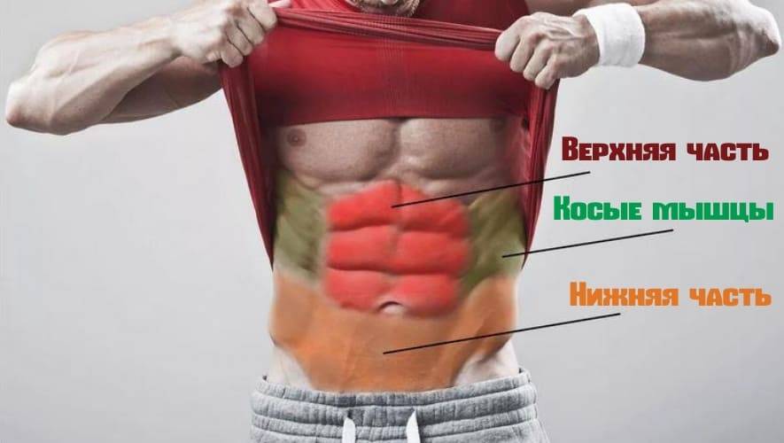 Мощный брюшной пресс
