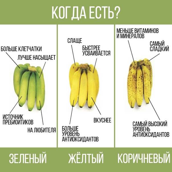 Бананы – незаменимый источник энергии. их польза и вред для организма